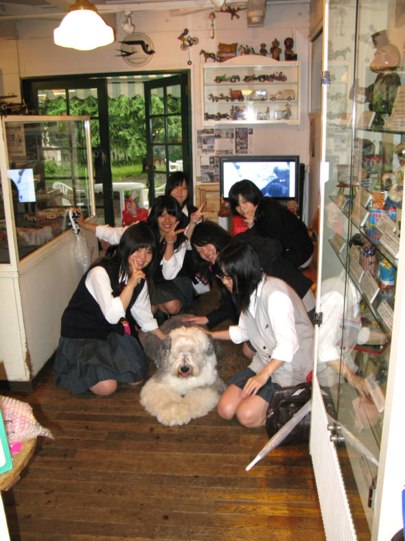 Japanese school girls with English Sheepdog